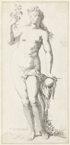 Personificatie van schoonheid