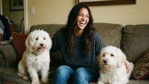Pet Love