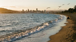 Petone Beach Golden Hour