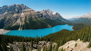 Peyto Lake's Blue Wonder