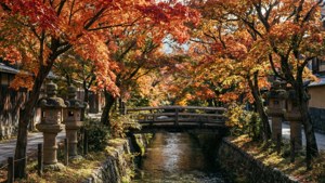 Philosopher's Path Autumn