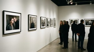 Photo Competition Gallery