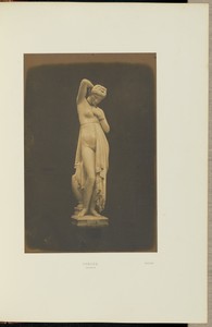 Phryne