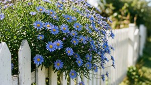 Picket Fence Cascade