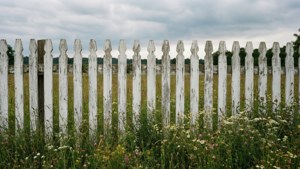 Picket Fence Meadow