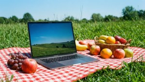 Picnic Laptop Summer