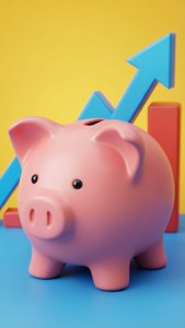 Piggy Bank Growth