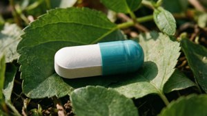Pill on Leaves