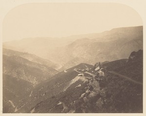 [Pine Tree Mine]