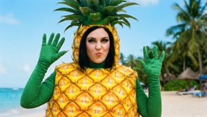 Pineapple Paradise