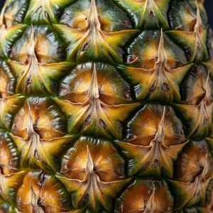 Pineapple Skin Texture