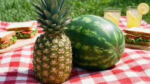 Pineapple Watermelon Picnic