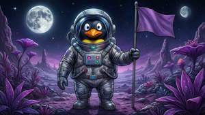 Pingu Space Explorer