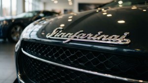 Pininfarina Badge Detail