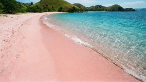 Pink Beach Paradise
