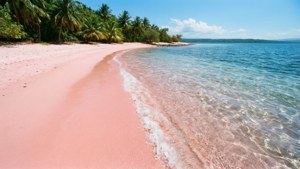 Pink Beach Paradise