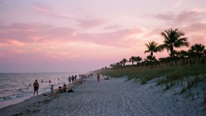 Pink Dusk Beach Dreams