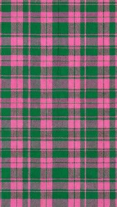 Pink Green Plaid Pattern