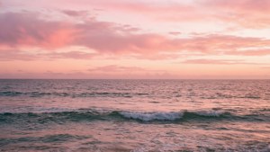 Pink Horizon