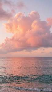 Pink Horizon Serenity