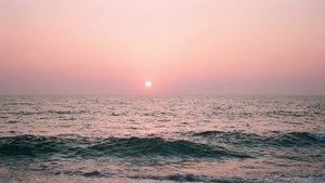 Pink Ocean Sunset
