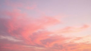 Pink Ombre Sunset