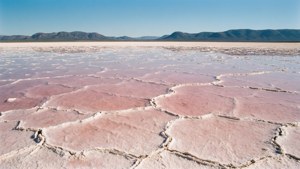 Pink Salt Lake