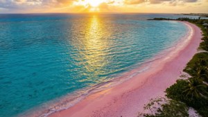 Pink Sand Sunset