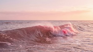 Pink Sunset Wave