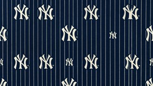 Pinstripe Fabric