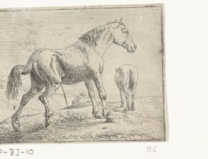 Pissend paard