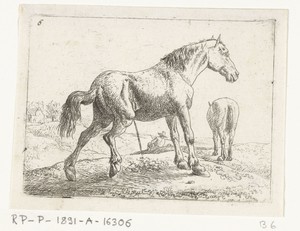 Pissend paard