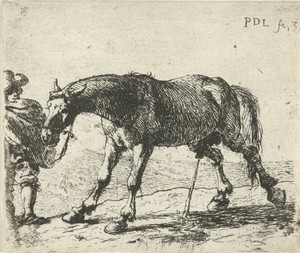 Pissend paard