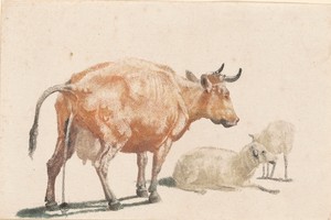 Pissing Cow and Two Sheep