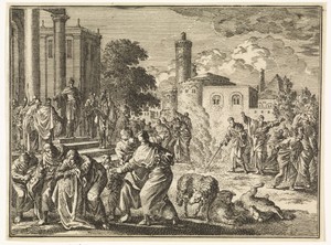 Plaag van de luizen