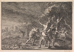 Plaag van de sprinkhanen