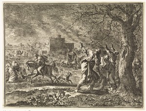 Plaag van de sprinkhanen