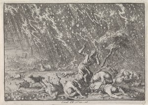 Plaag van hagel en onweer