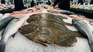 Plaice on Ice at Fish Market