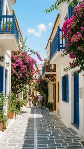 Plaka Alley Bloom