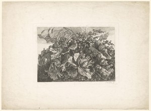 Planten en bladeren