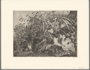 Planten en liggend rund