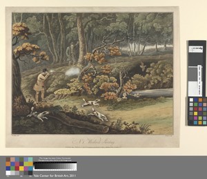 Plate 1. Woodcock Shooting