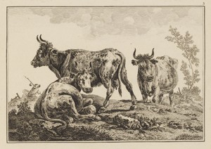 Plate 3, from "Cahier de Six Feuilles de Boeufs et Vaches"