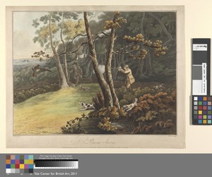 Plate 3. Pheasant Shooting