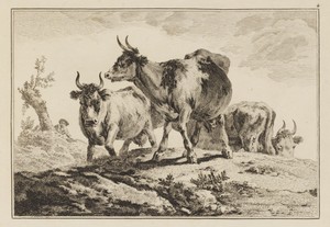 Plate 4, from "Cahier de Six Feuilles de Boeufs et Vaches"