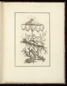 Plate 5