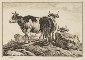 Plate 6, from "Cahier de Six Feuilles de Boeufs et Vaches"