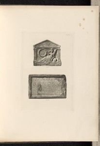 Plate I