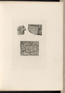 Plate II